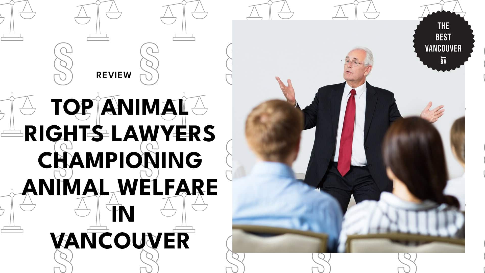 best-animal-rights-lawyers-vancouver-feautred-banner