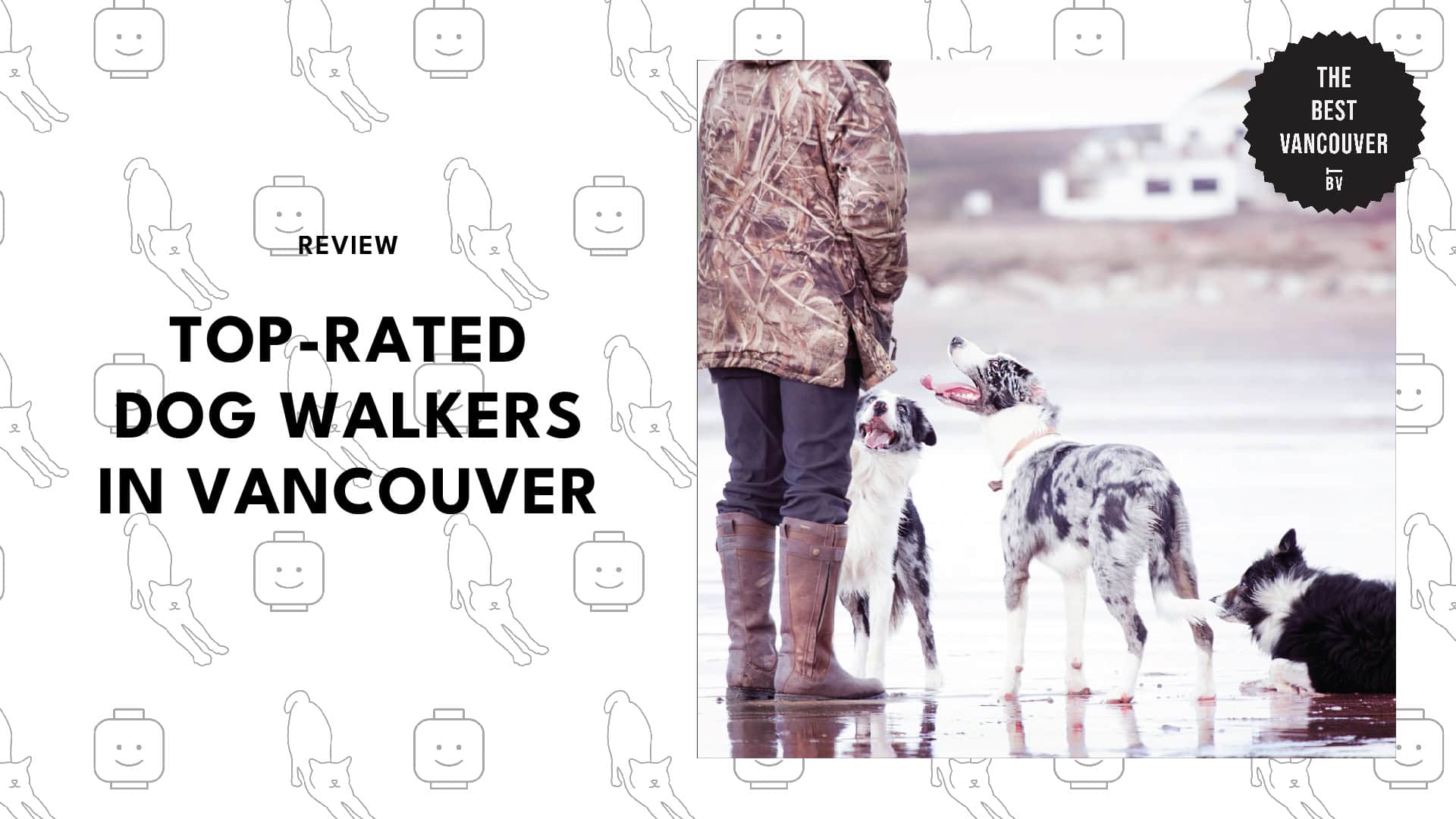 best-dog-walkers-vancouver