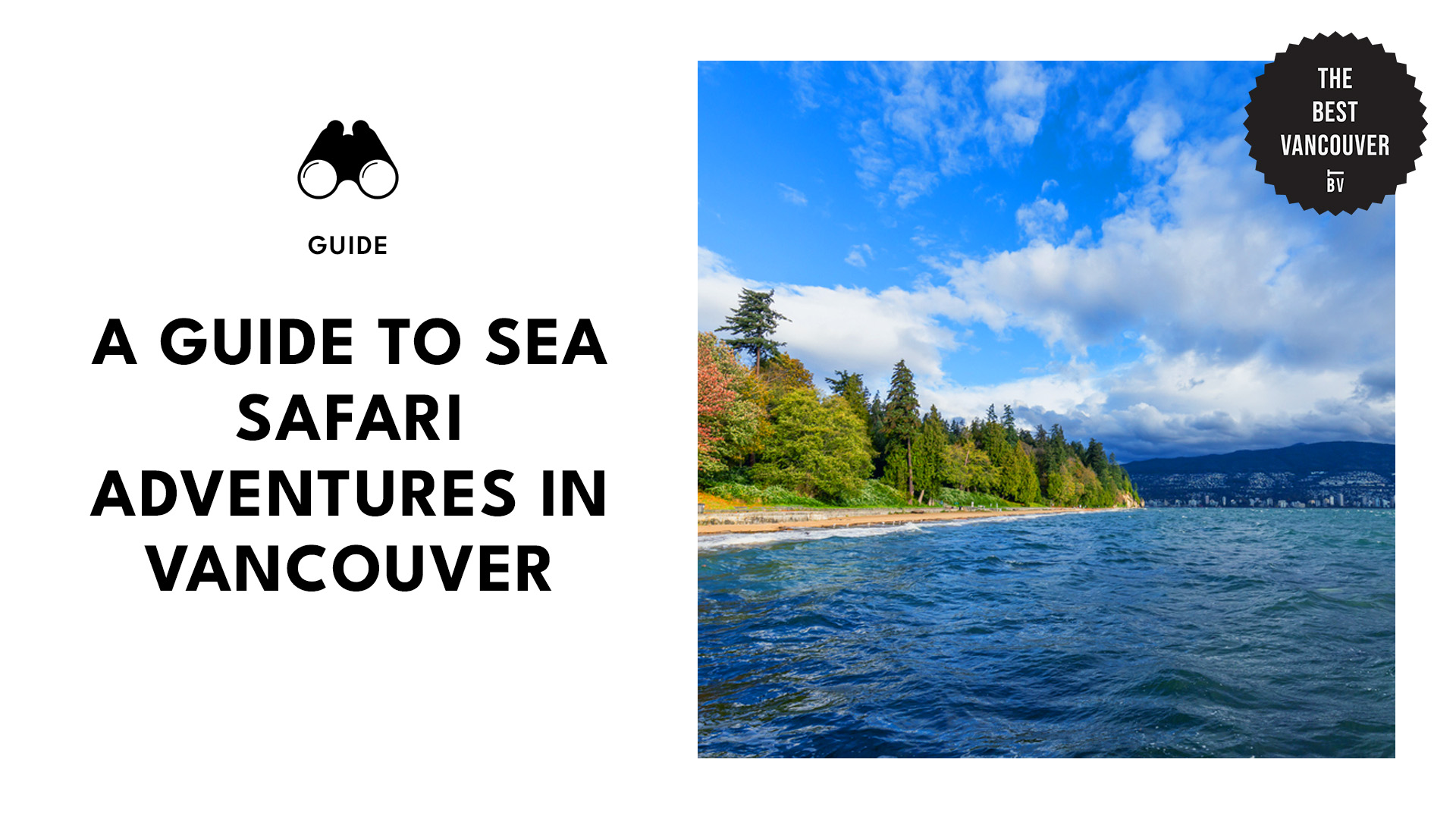 guide-to-sea-safari-vancouver
