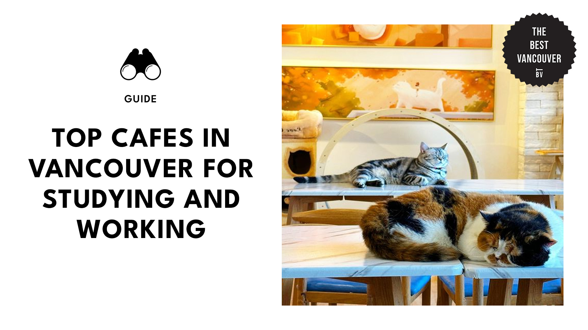 top-cat-cafes-vancouver