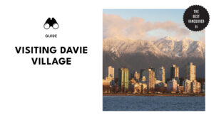 guide-in-visiting-davie-village