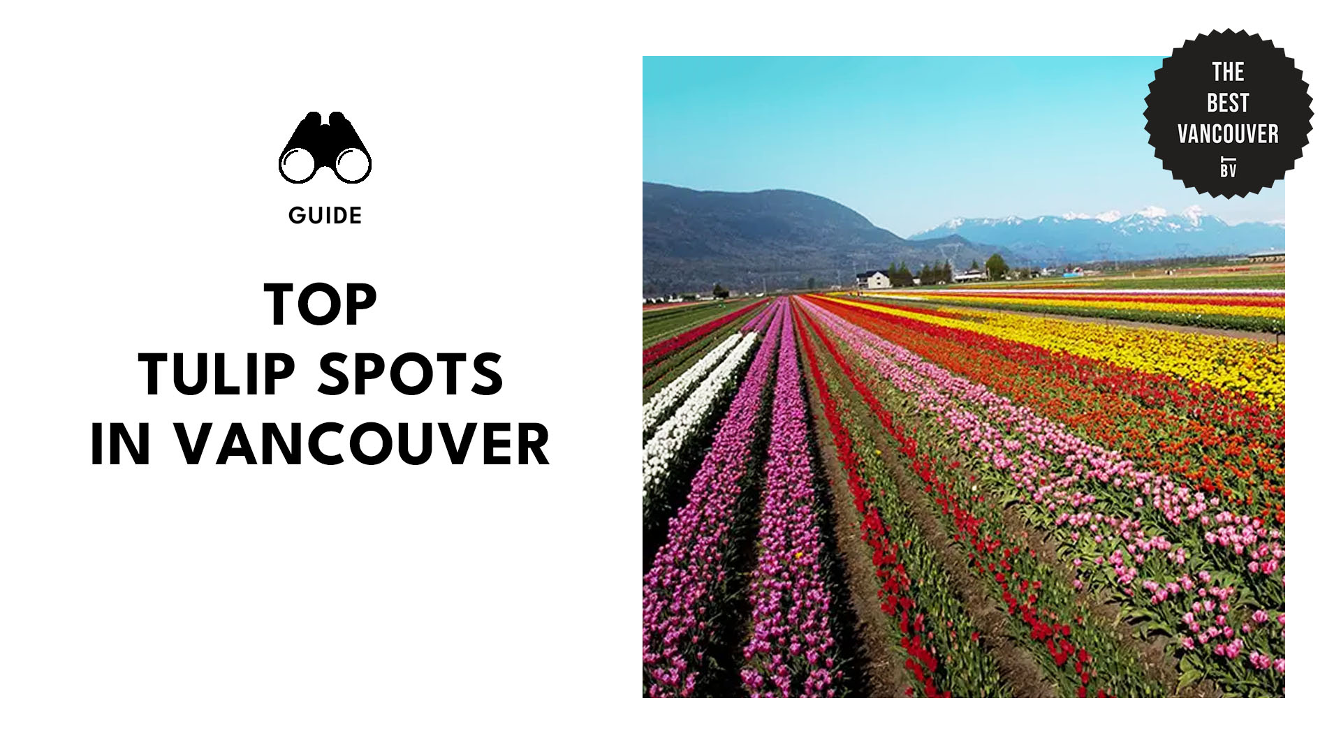 top-tulip-spots-vancouver