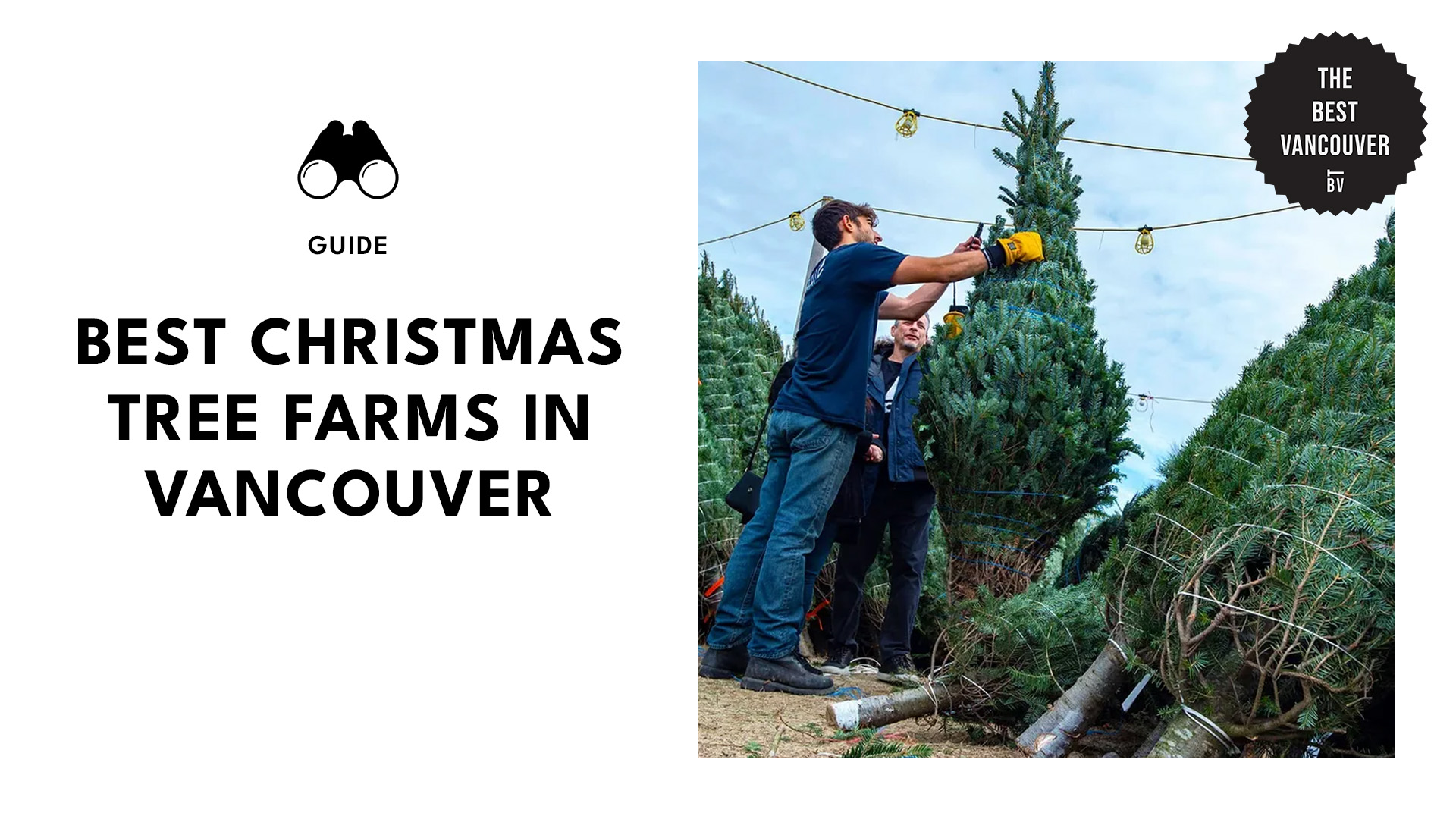 best-christmas-tree-farms-vancouver-banner