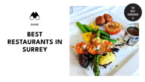 best-restaurants-surrey-banner