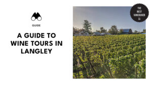 best-wine-tours-langley-banner