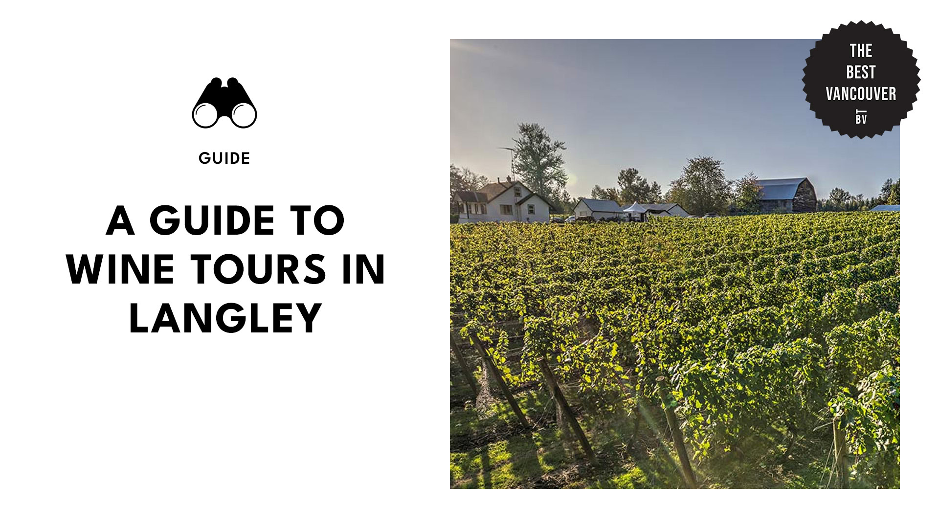 best-wine-tours-langley-banner