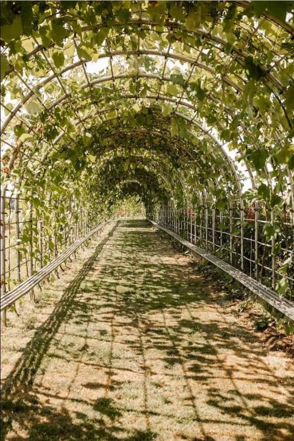 Lulu Island Winery Garden