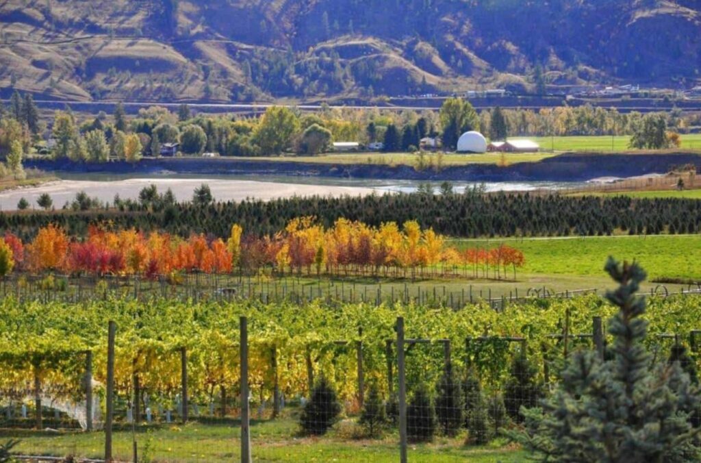 Privato Vineyard and Winery