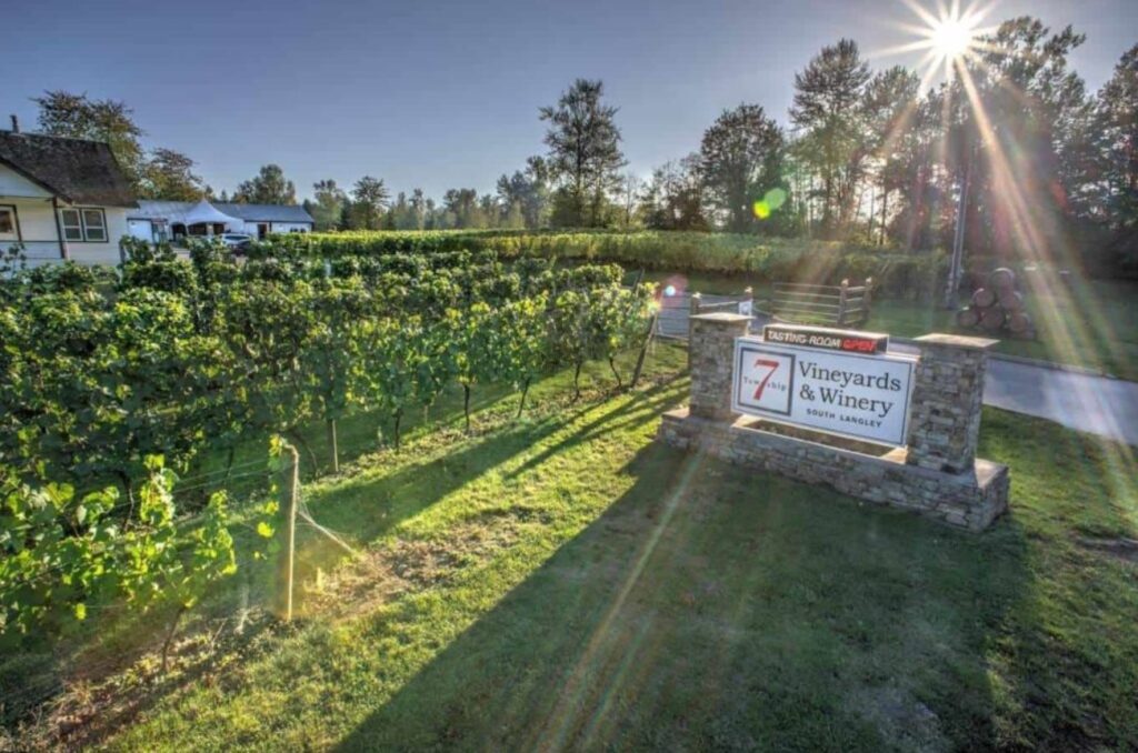 Township 7 Vineyards