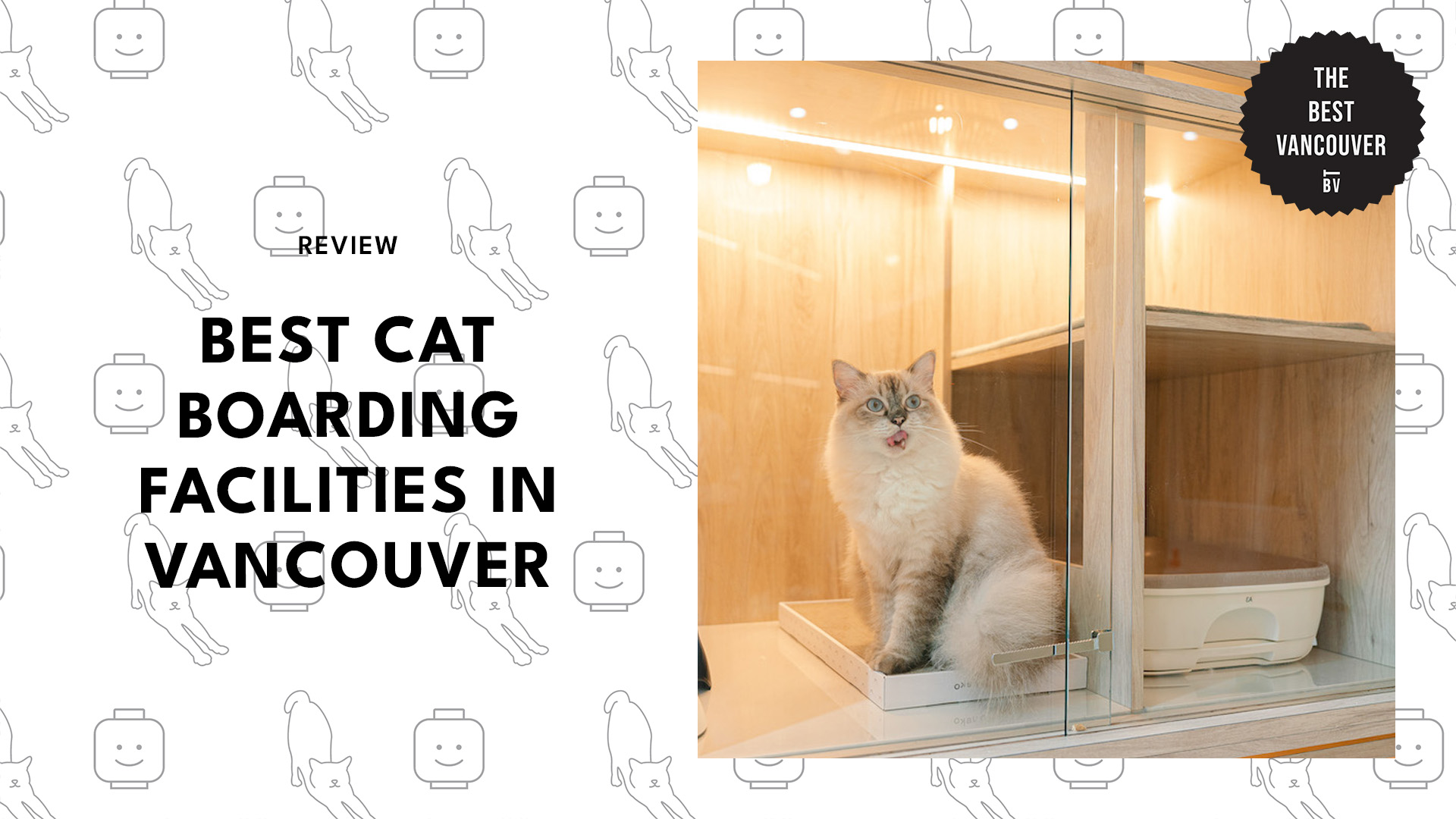 best-cat-boarding-facilities-vancouver