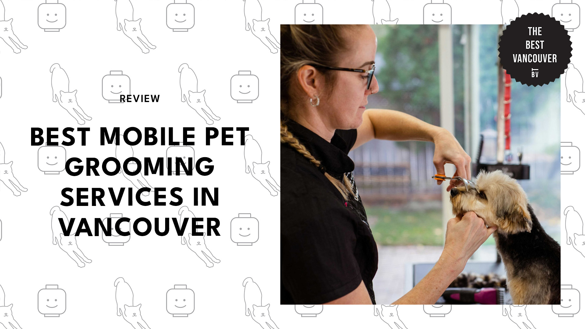 best-mobile-pet-grooming-vancouver