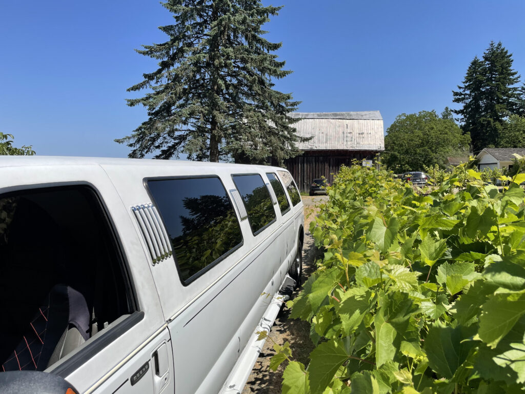 limo in the winery