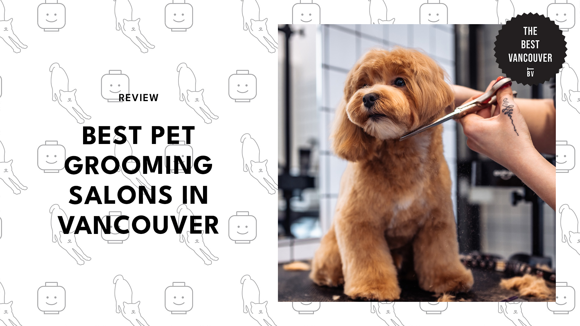 best-pet-grooming-salons-vancouver