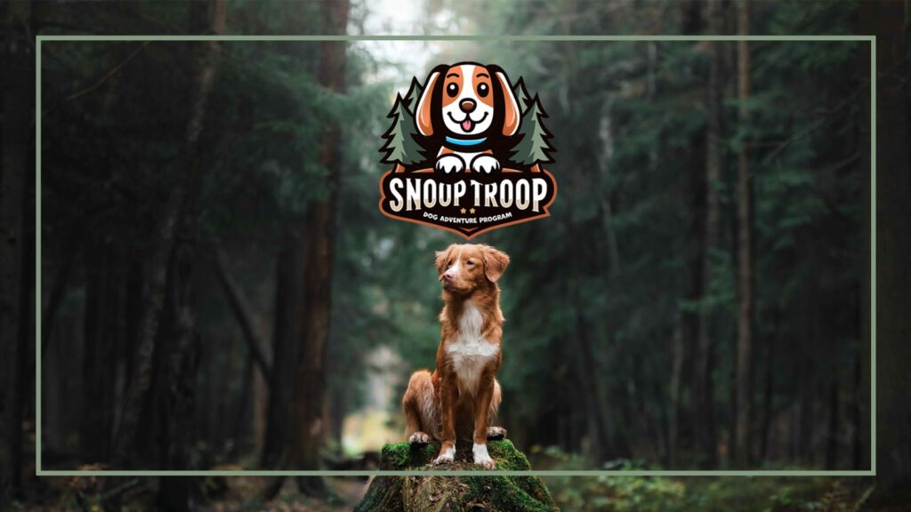 Snoop Troop Dog Walking