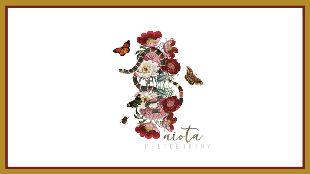aiota-photography-boudoir-logo