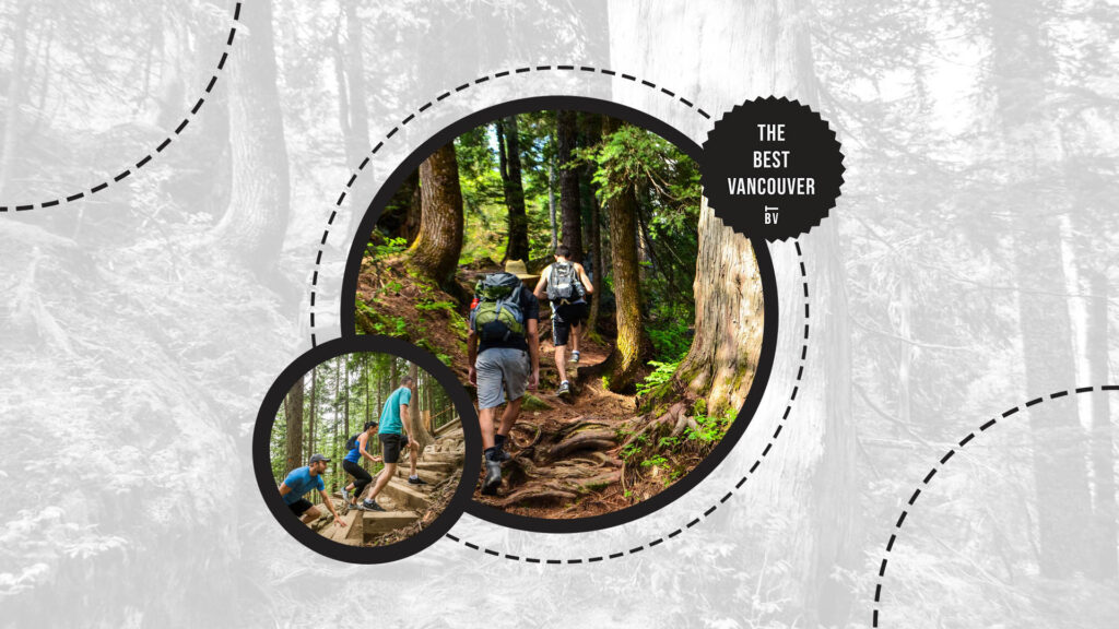 lynn-canyon-park-or-mount-seymour