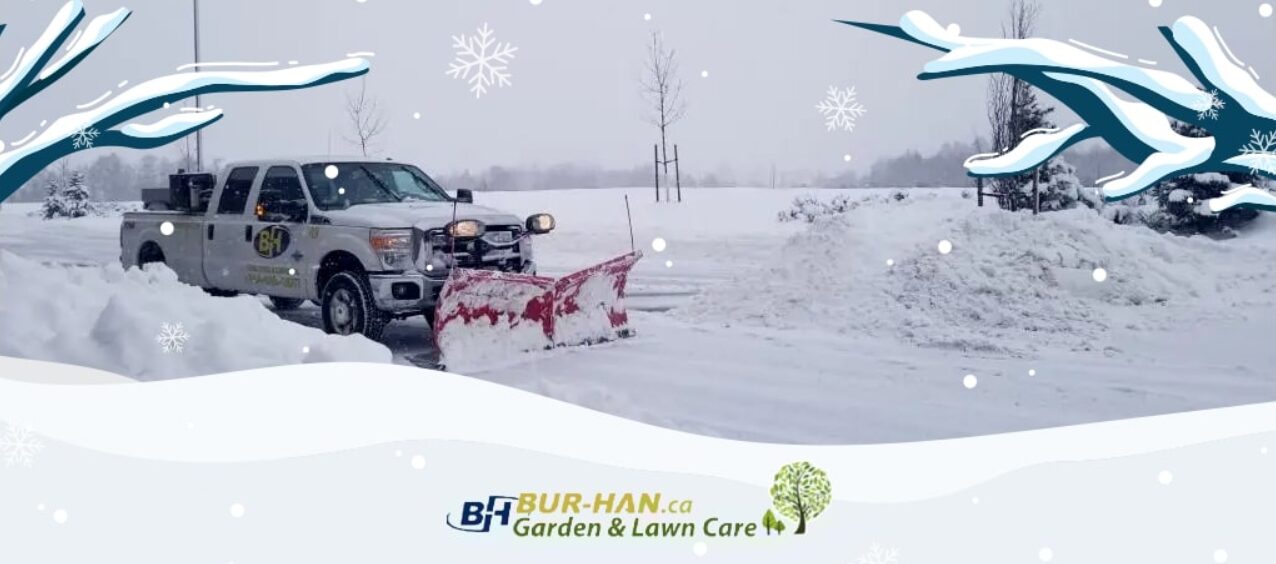 bur han gardeng and lawn care landscapers