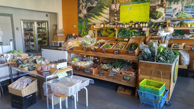 tama organic life store
