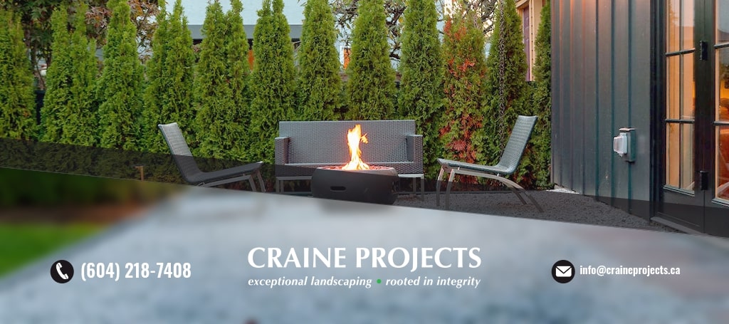 craine projects ltd