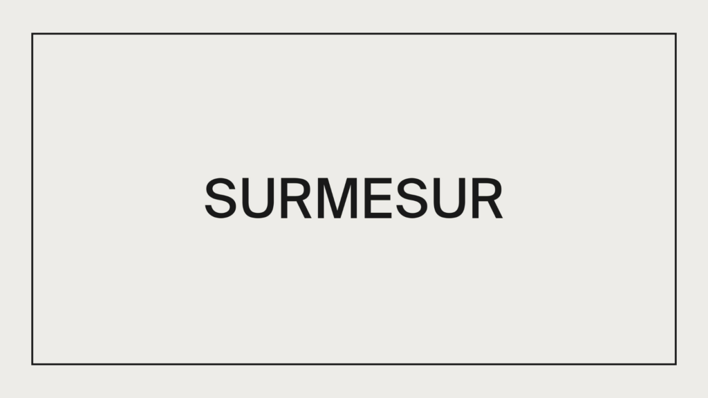 surmesur-logo