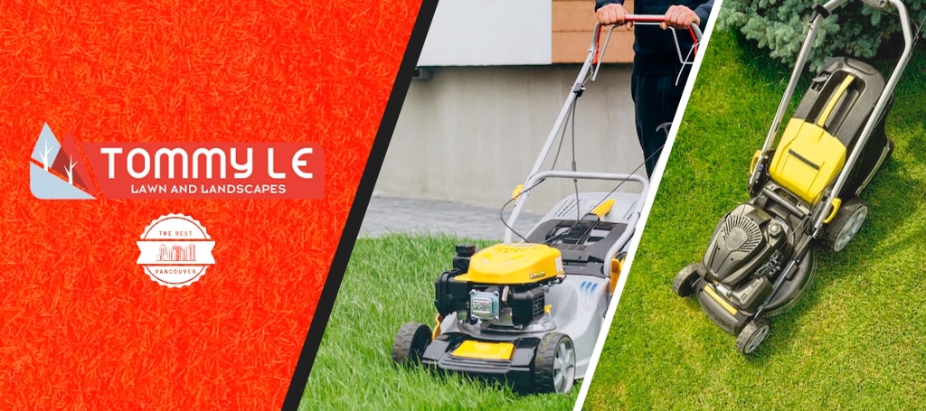 Tommy Le - Lawn Mowing, Lawn Care and Landscape Services